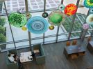 The Persistance of Life | Public Sculptures by Ansen Seale | The University of Texas Medical Branch at Galveston in Galveston
