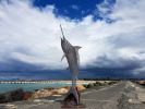 'Marlin | Public Sculptures by Mike Van Dam Art. Item made of steel