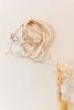 Danelelion | Mixed Media by Trudy Perry. Item in minimalism or contemporary style