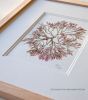 Pressed Seaweed, Single 100. A5. | Pressing in Art & Wall Decor by Jasmine Linington. Item composed of paper