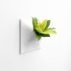 Node XL Wall Planter, 15" Mid Century Modern Planter, White | Plant Hanger in Plants & Landscape by Pandemic Design Studio. Item made of stoneware works with mid century modern & japandi style
