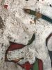 El Torros | Oil And Acrylic Painting in Paintings by Mud Studio, South Africa. Item made of synthetic
