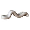 Kurba Oyster Holder for Mementos | Decorative Objects by Prin Nadi. Item in contemporary or eclectic & maximalism style