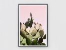 Prickly Pear Cactus on Pink | Photography by Capricorn Press. Item composed of paper