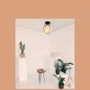 Tona Caged Milk Glass Flush Mount/ Wall Sconce | Flush Mounts by Atrix Lighting | Los Angeles in Los Angeles. Item composed of steel and glass