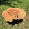 Live Edge Sugar Maple Coffee Table on steel base | Tables by Basemeant WRX. Item made of maple wood with steel