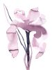 Iris No. 200 : Original Ink Painting | Watercolor Painting in Paintings by Elizabeth Becker. Item composed of paper in boho or minimalism style