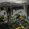 Steel Coffee Table — Pebble Collection, Nitush Aroosh | Tables by Nitush Aroosh. Item composed of steel in contemporary or eclectic & maximalism style