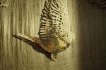 Flock Of Doves | Wall Sculpture in Wall Hangings by Claire Brewster. Item composed of paper