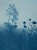 Pines through Thistles (24 x 18" hand-printed cyanotype) | Photography by Christine So. Item composed of paper in boho or country & farmhouse style