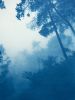 Morning Mist (24 x 16" hand-printed cyanotype photograph) | Photography by Christine So. Item made of paper compatible with coastal and traditional style
