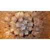JT101 MONUMENTAL VENINI TRONCHI | Chandeliers by alanmizrahilighting | New York in New York. Item made of glass