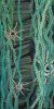 Allstar Algae | Oil And Acrylic Painting in Paintings by Cudra Clover. Item composed of canvas
