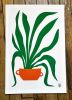 Still Life: Snake Plant - Fine Art Print | Prints by Kirsten Ulve. Item made of paper works with boho & minimalism style