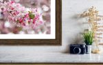Cherry Blossom Spring at Dougherty | Photography by Vanessa Thomas | Dublin Civic Center in Dublin
