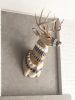 Hand-Painted Taxidermy Deer | Wall Sculpture in Wall Hangings by Cassandra Smith