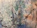 Wouldn't it be good. SOLD | Oil And Acrylic Painting in Paintings by Margaret Alice Høiesen. Item made of canvas with synthetic