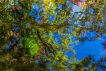 Water Reflections | Prints by Connie Villa. Item composed of paper