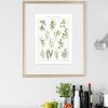 Culinary Herb Art Print - Botanical Watercolor Kitchen Art | Prints by Jennifer Lorton Art. Item composed of paper in country & farmhouse or industrial style