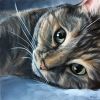 Custom Cat Portrait Paintings in Oil | Oil And Acrylic Painting in Paintings by Paws By Zann Pet Portraits. Item composed of canvas and synthetic