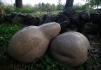 Pear Pair Bench | Public Sculptures by Jim Sardonis. Item made of bronze & granite