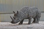 The Migration of the Rhinoceros  «Mavis» | Public Sculptures by Roger Gaudreau | University of Tasmania, Inveresk Campus in Launceston. Item composed of metal and stone