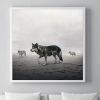 This Way Wolves | Photography by Alice Zilberberg. Item made of paper
