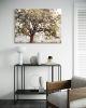 The Mustard Tree | Mixed Media by Judith Monroe. Item composed of canvas in boho or contemporary style