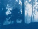 Sunrise Ridge (20 x 30" unframed hand-printed cyanotype) | Photography by Christine So. Item composed of cotton and paper in boho or country & farmhouse style