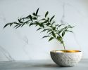 Large Bowl in Textured Alpine White Concrete with Gold Leaf | Decorative Bowl in Decorative Objects by Carolyn Powers Designs. Item made of concrete & glass compatible with minimalism and contemporary style