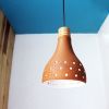 Linea Ceiling Light | Pendants by Lit Lamps - Sustainable Mindful Lighting. Item works with contemporary & asian style