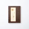 Herbarium Mini: Daucus Carota - Wall Light Sculpture | Wall Sculpture in Wall Hangings by Mateusz Wappa Design & Research. Item made of birch wood with glass works with minimalism & modern style