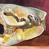 Beaver Skull, Winter Light In Handmade Burl Wood Frame | Mixed Media in Paintings by Catherine Twomey