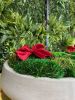 Cement Moss Bowl Centerpiece | Decorative Bowl in Decorative Objects by Moss Art Installations. Item works with minimalism & modern style