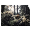 FOREST FUNGI (12"x9" - 48"x36") | Fine Art Print | Photography by Jess Ansik. Item made of paper compatible with boho and contemporary style