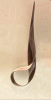 Alaria Note | Wall Sculpture in Wall Hangings by Randy Mugford. Item composed of birch wood