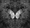 "Cradled flight" | Photography by Carol Paquet. Item made of paper