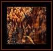 Abstract | Digital Art in Art & Wall Decor by Ziya Tatar