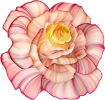 Large-scale Single Flower on-edge paper art | Wall Sculpture in Wall Hangings by JUDiTH+ROLFE. Item made of paper compatible with contemporary and modern style
