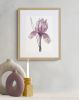 Iris No. 193 : Original Watercolor Painting | Paintings by Elizabeth Becker. Item made of paper compatible with boho and minimalism style