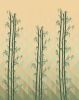 Bamboo Valley Wallpaper | Wall Treatments by Ri Anderson. Item composed of synthetic