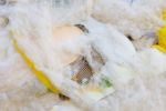 Wool Collage | Mixed Media by Linden Eller | Langogne in Langogne. Item composed of fabric