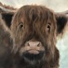 Wooly Bully | Paintings by Marilyn Landers