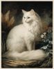 Lady - Artwork of an Angora Cat | Prints by Studio Linnæus. Item composed of walnut & cotton compatible with boho and mid century modern style