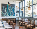 Century Plant / Agave Painting | Oil And Acrylic Painting in Paintings by Kate Joiner | Carte Blanche Bistro & Bar in Oceanside. Item composed of canvas and synthetic