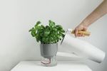 Kapi big sleek | Planter in Vases & Vessels by Krafla | Krafla Studio in Kraków. Item made of ceramic with glass works with minimalism & contemporary style