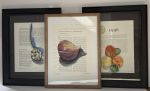 Gift of the Wasp | Watercolor Painting in Paintings by Grange Home