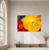 Iceland Poppy | Photography by Daniel