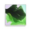 Abstract Painting "Bestows Light on Moss" | Oil And Acrylic Painting in Paintings by Marta Spendowska. Item composed of wood and canvas in minimalism style