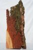 The Tree Tower | Decorative Objects by Raulferc